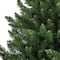 6ft. Unlit Northern Rocky Spruce Artificial Christmas Tree
